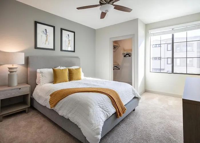 Apartment Landing Modern With Amazing Amenities